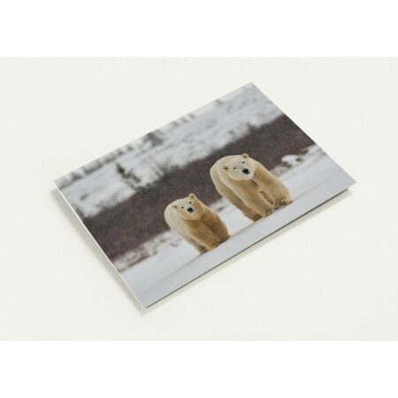 Pack of 10 Greeting Cards (US & CA) new