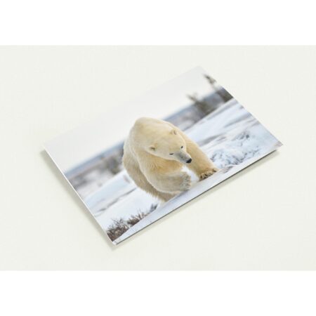 6229ddbc-696f-41e0-b8c3-73ff9ecda7b7